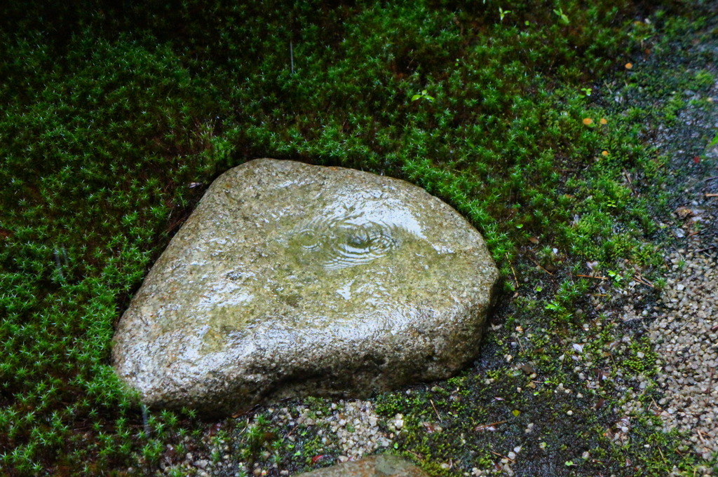 水紋
