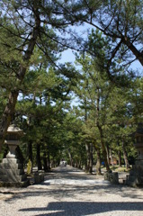 出雲大社へと続く参道