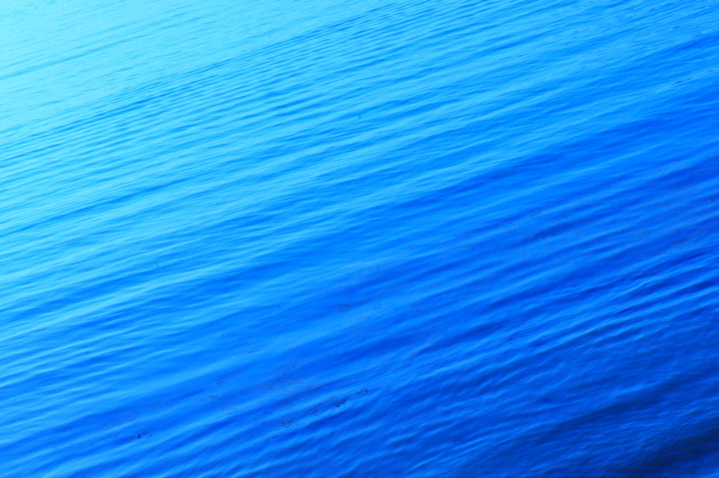 朝の海