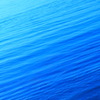 朝の海