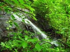 棒ノ折山 小川