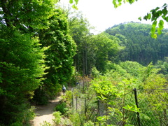 道中・山道