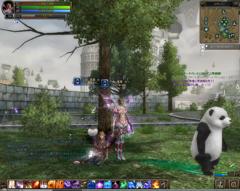 苺ちゃんとりこぴん