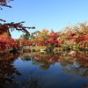 永観堂 3