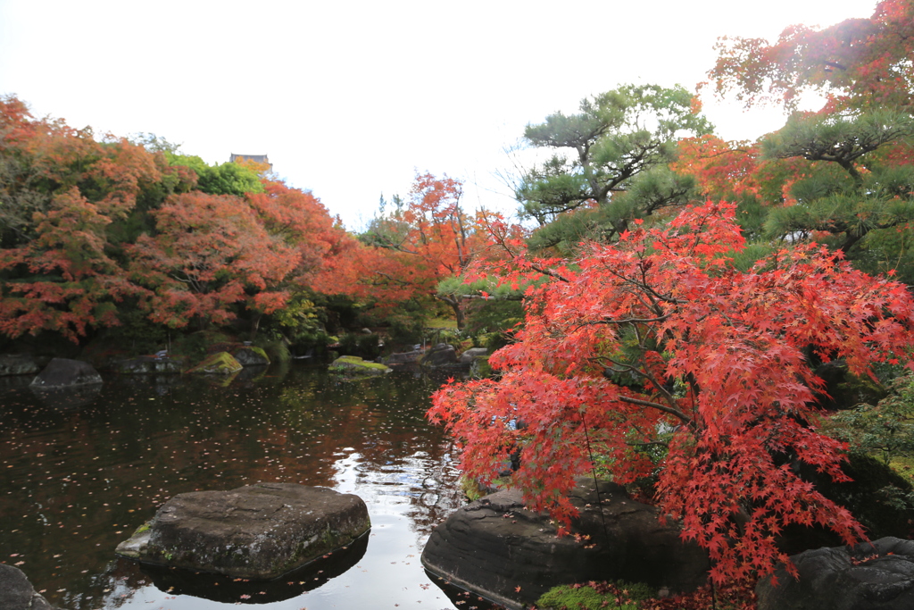 姫路・好古園3