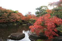姫路・好古園3