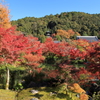 永観堂 4