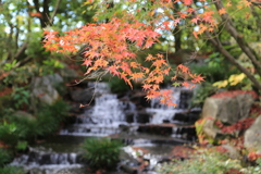 姫路・好古園1