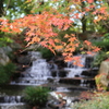 姫路・好古園1