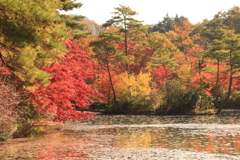 神戸市森林公園10