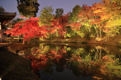 高台寺3(ライトアップ）