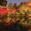 高台寺3(ライトアップ）