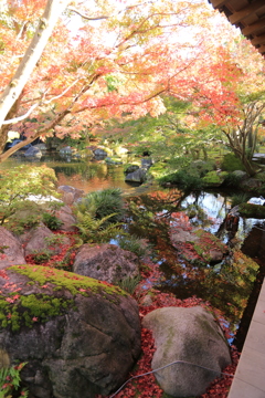 姫路・好古園8