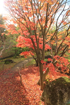姫路・好古園6