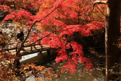 神戸市森林公園4