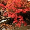 神戸市森林公園4