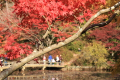 神戸市森林公園6