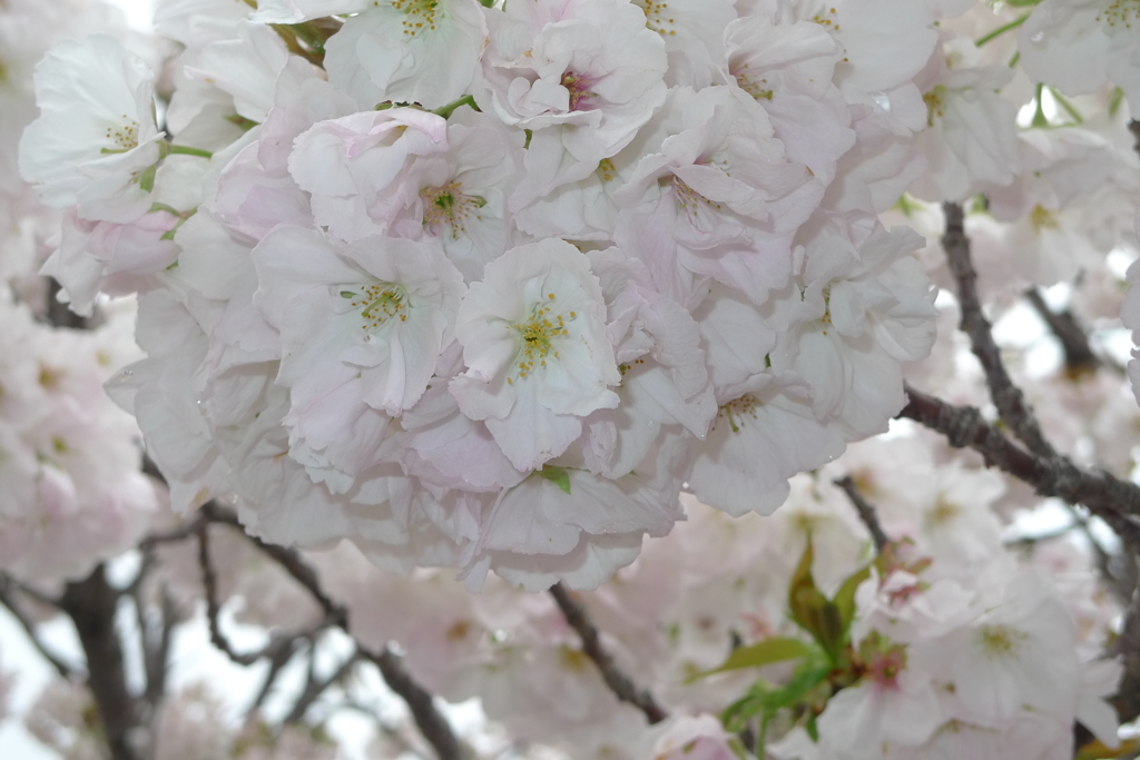 2015-04-11 11-03-57