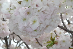 2015-04-11 11-03-57