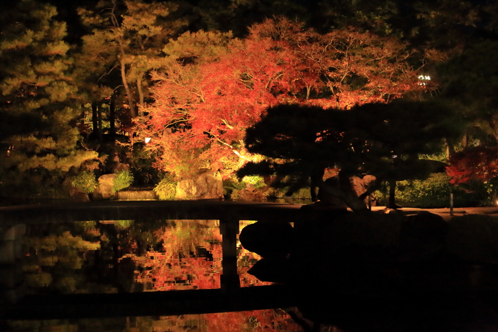 姫路好古園 ライトアップ 2