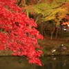 高台寺2