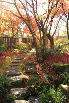 姫路・好古園9