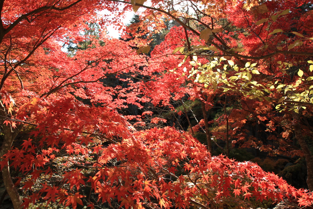 神戸市森林公園7