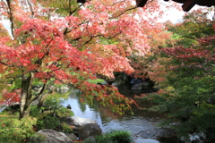 姫路・好古園2