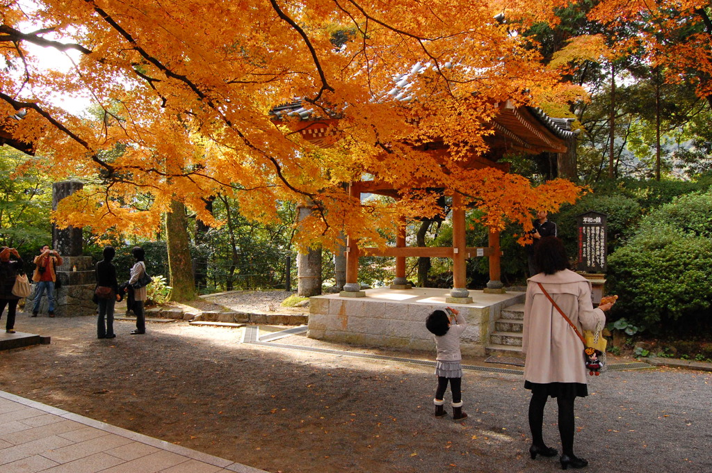 大興善寺の紅葉