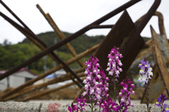 花と