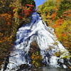 紅葉と湯滝