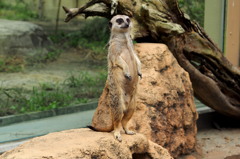 どーお、こんな感じ..？