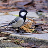 Test photography-1