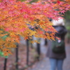 本土寺の紅葉　（ホ）