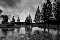 雨模様の公園