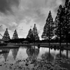 雨模様の公園