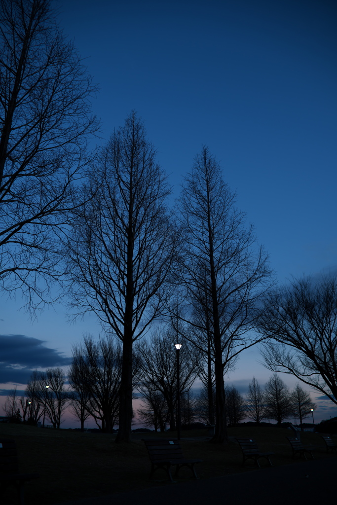 日没の手賀沼公園 如月