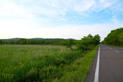 釧路湿原道路