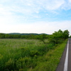釧路湿原道路