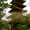 上野動物園の五重塔