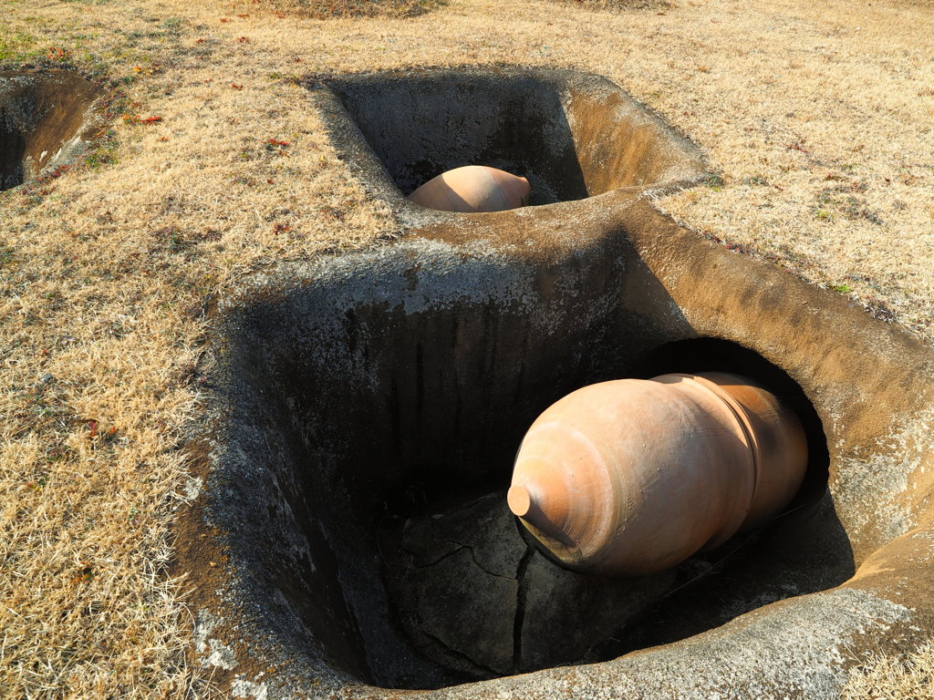 墳丘墓　甕棺（カメカン）