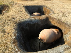 墳丘墓　甕棺（カメカン）