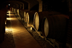 The wine cellar