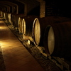 The wine cellar