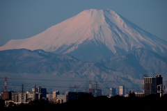 今日の自宅玄関前から