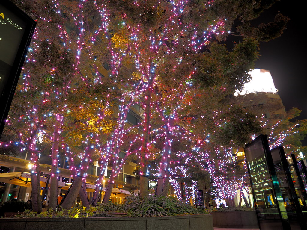 Illuminations of the GALLERIA