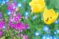 ❀Flower bed in spring❀