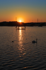 手賀沼の夕陽