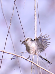 フワッと