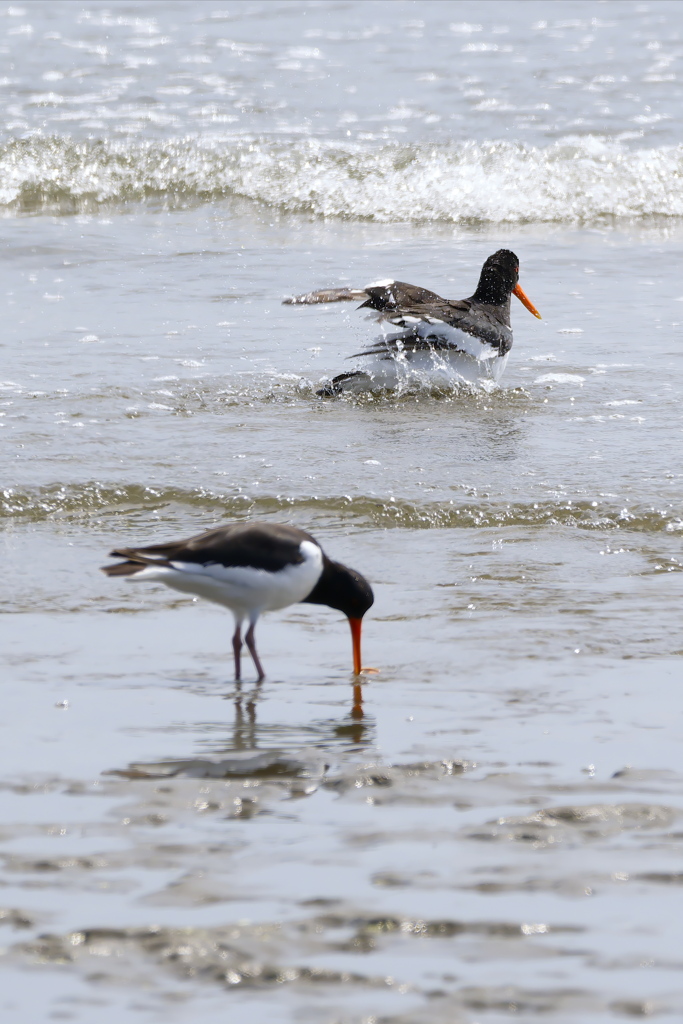 sea bathing